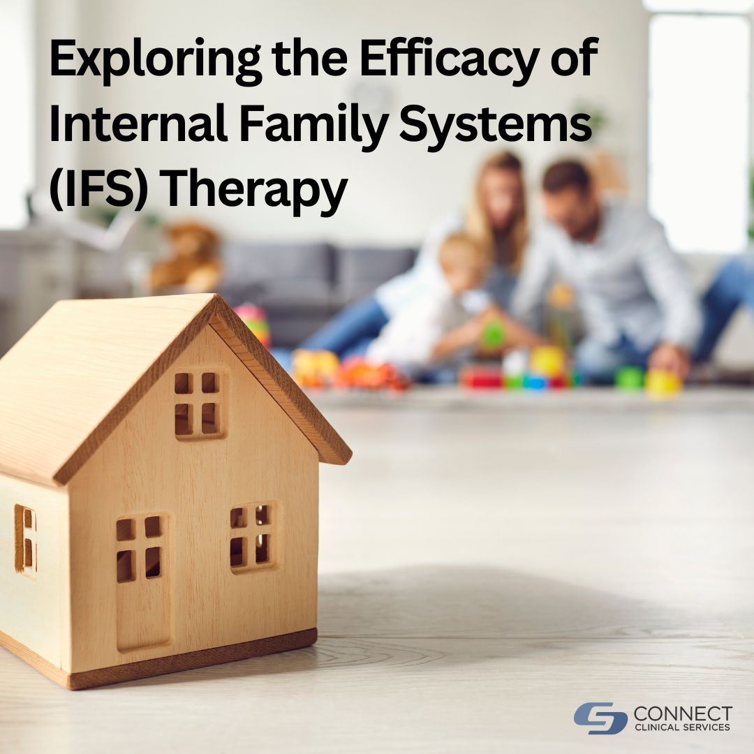 Internal Family Systems Therapy: A Transformative Experience